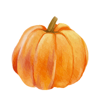 pumpkin pumpkin