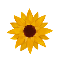 sunflower sunflower