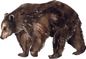 Animals (14) Animals (14)