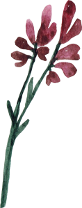 Flora (5) Flora (5)
