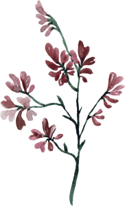 Flora (6) Flora (6)