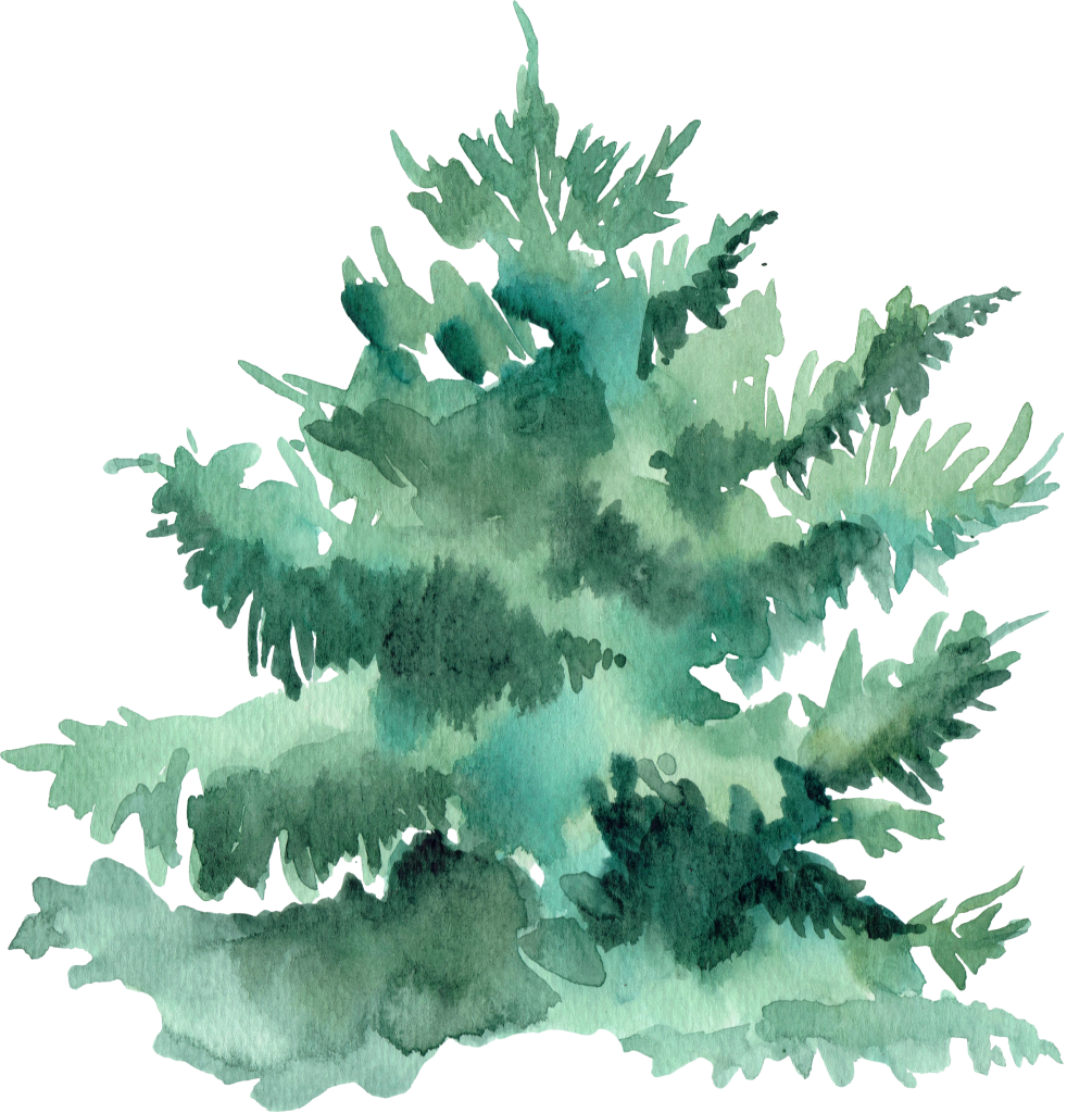 Landscape (32) Landscape (32)