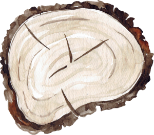 Wood (5) Wood (5)