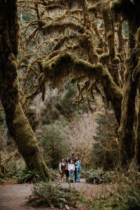 IMG_3330-Edit IMG_3330-Edit