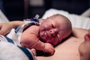 IMG_5435-Enhanced-NR