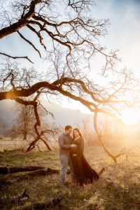 IMG_4247-Enhanced-NR-Edit IMG_4247-Enhanced-NR-Edit